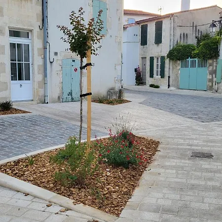 La Martinoise Patio Guest house