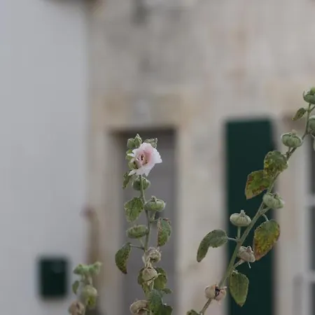 La Martinoise Patio 4*