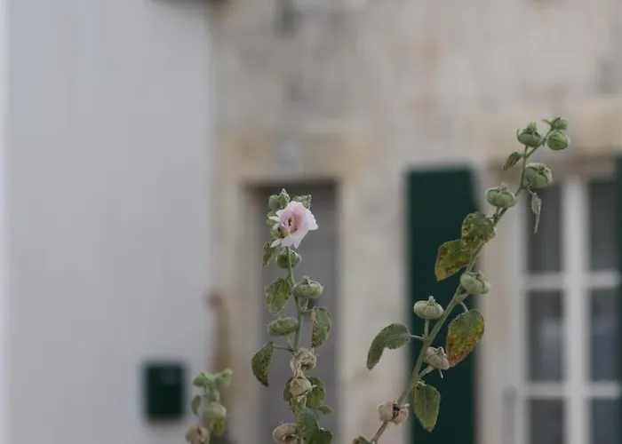 La Martinoise Patio 4*